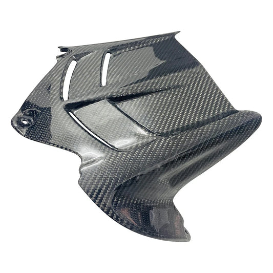 Kawi Collective - Carbon Fiber Mud Guard ZX6R