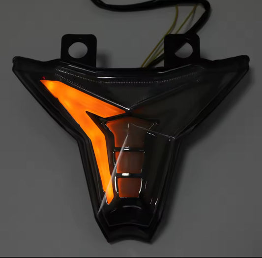 Kawi Collective - integrated tail light ZX6R