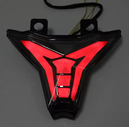 Kawi Collective - integrated tail light ZX6R
