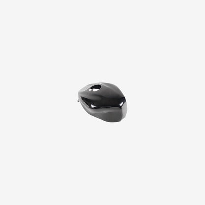 Carbon Fiber Gas Tank Cover – Kawasaki Ninja ZX-4RR (2023-2026)